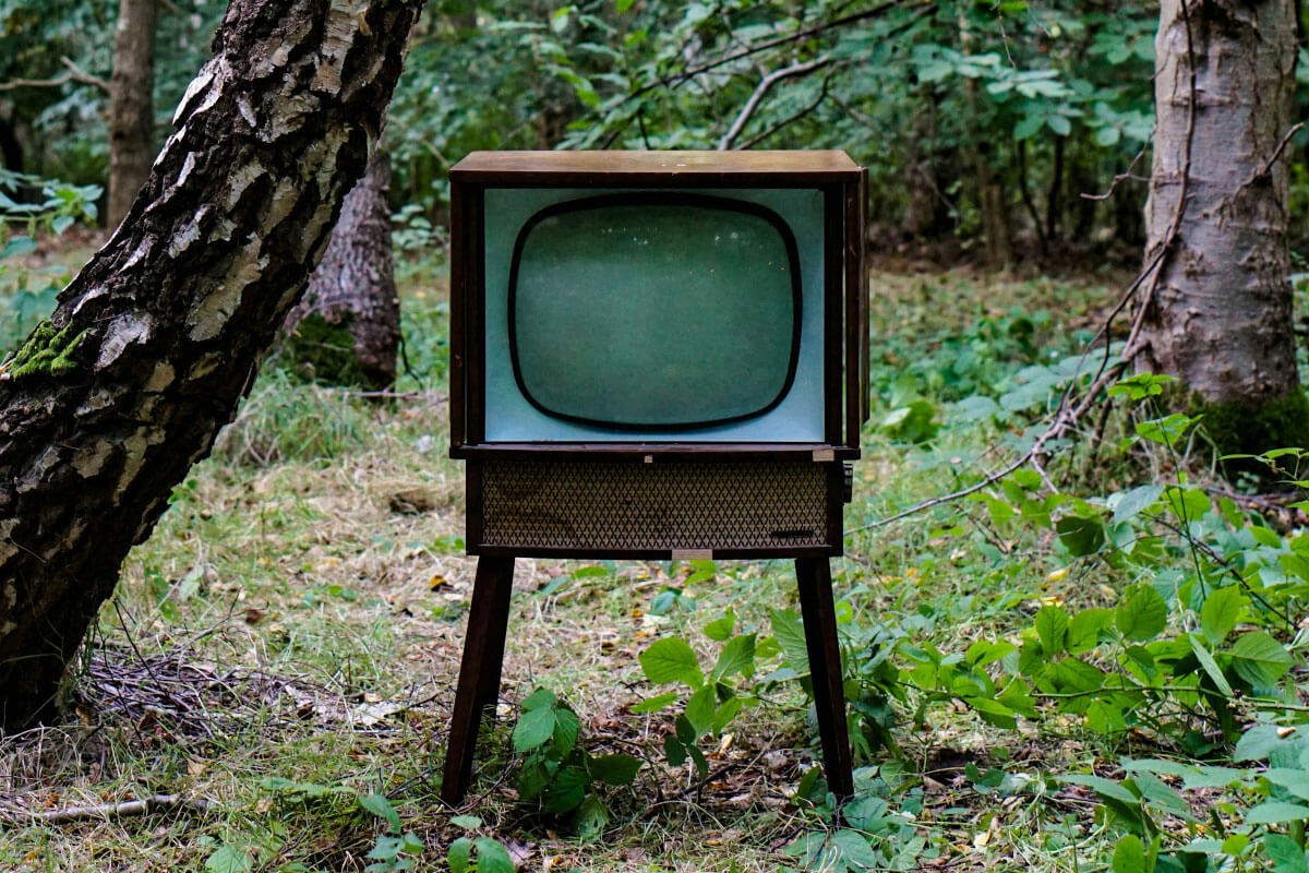 Ein altmodischer Fernseher steht im Wald